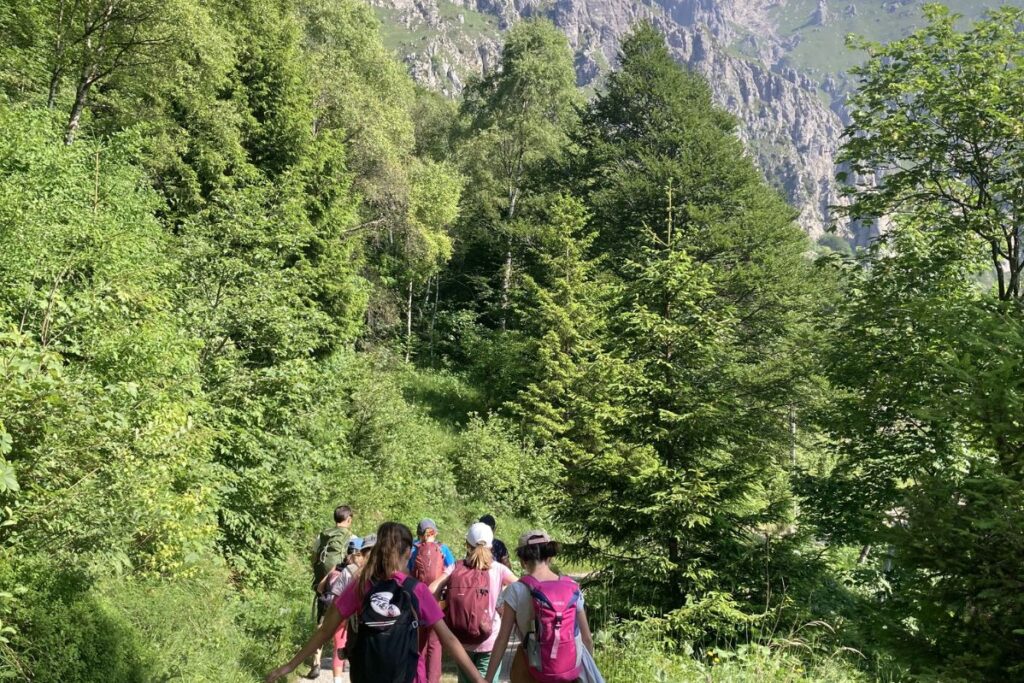 piani-resinelli-porta-campi-estivi