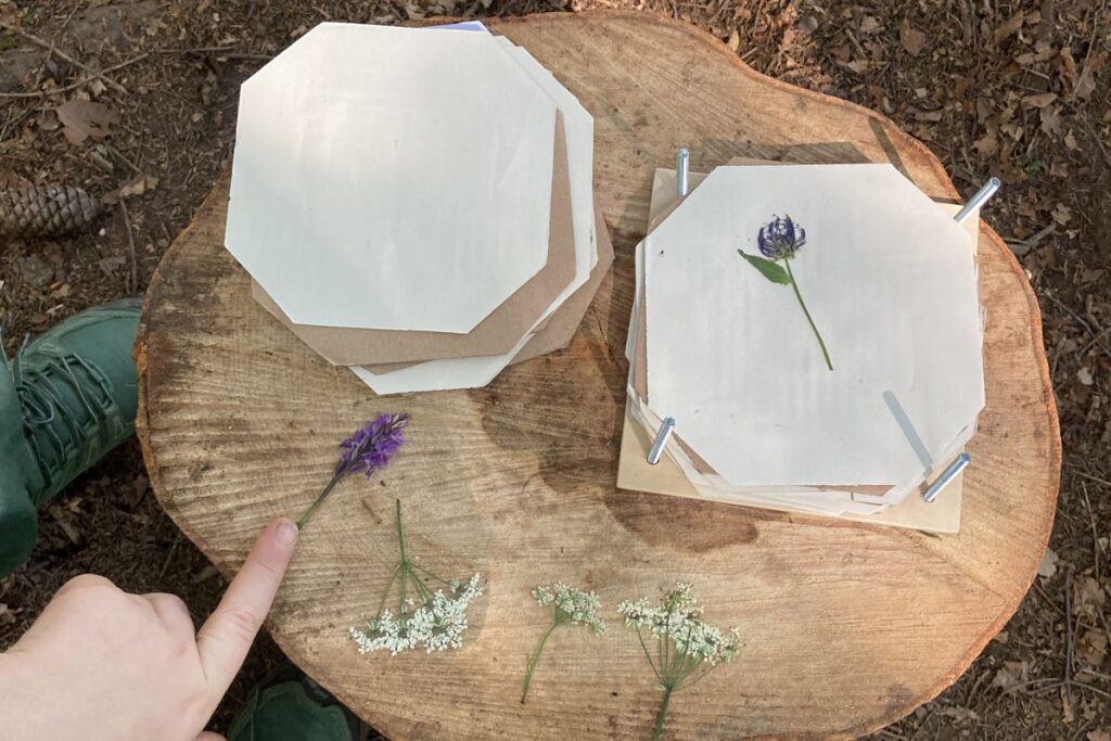 resinelli-campi-estivi